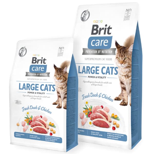 BRIT CARE CAT LARGE sausā barība kaķiem Pīle, vista 2kg